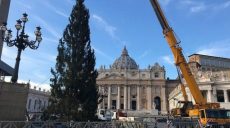 На площади св. Петра в Ватикане установили 28-метровую новогоднюю елку (фото)