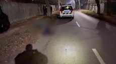 Полиция расследует обстоятельства гибели пешехода в Дергачах (фото)