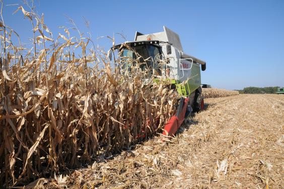 В Харьковской области собрали более 4,8 млн тонн зерна