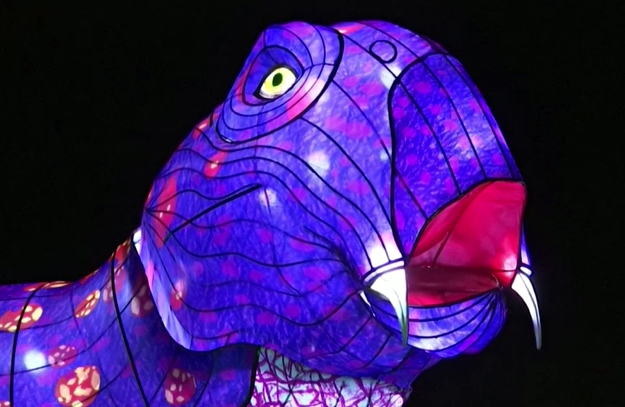 Рождественские огни: в Париже открылась выставка со светящимися динозаврами (фото, видео)