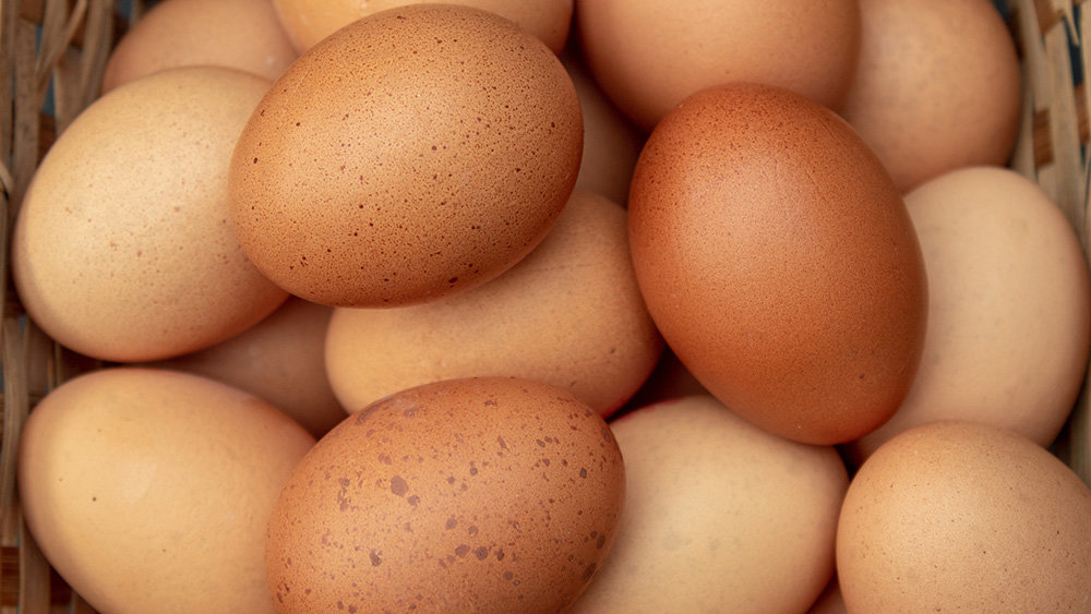 В Украине ожидают подорожания куриных яиц