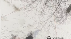 В Харькове из многоэтажки выпала женщина
