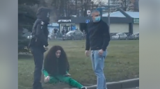 Патрульные остановили пьяную женщину за рулем Tesla (видео)