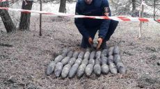 Жители села в Харьковской области нашли десятки старых мин (фото)