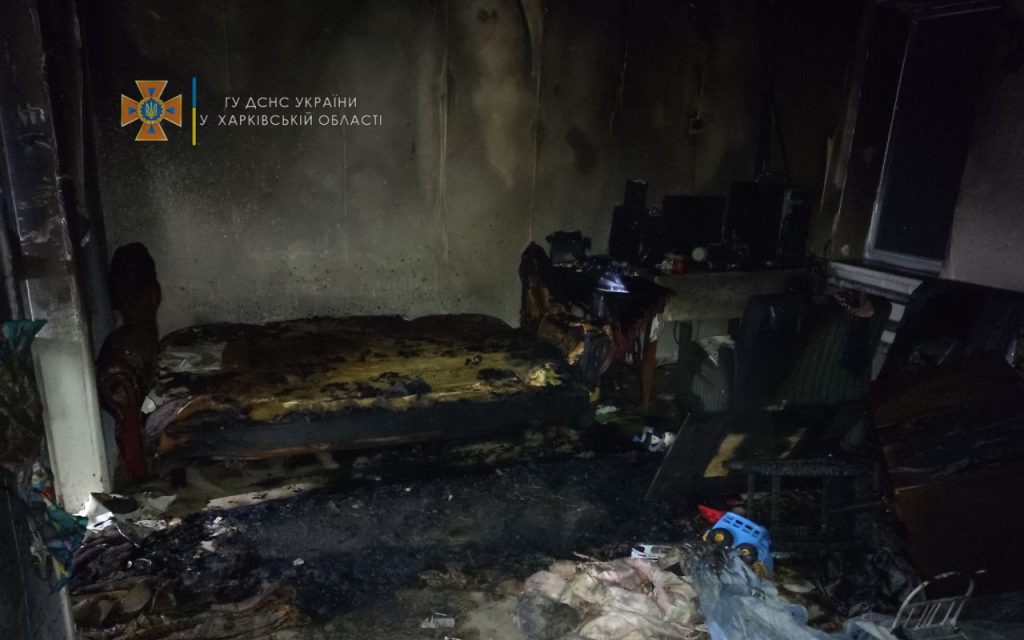 В Харьковской области из-за проблем в печью вспыхнул дом: хозяин получил ожоги рук (фото)