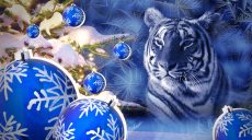 Как правильно встречать год Тигра: советы харьковского астролога