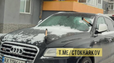 В Харькове в припаркованную Audi неизвестные воткнули два топора (фото)