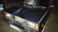 Полиция разыскивает свидетелей и очевидцев ДТП со смертельным исходом (фото)