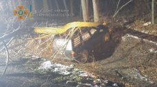 Под Харьковом на Nissan упало дерево, есть пострадавшие (фото)