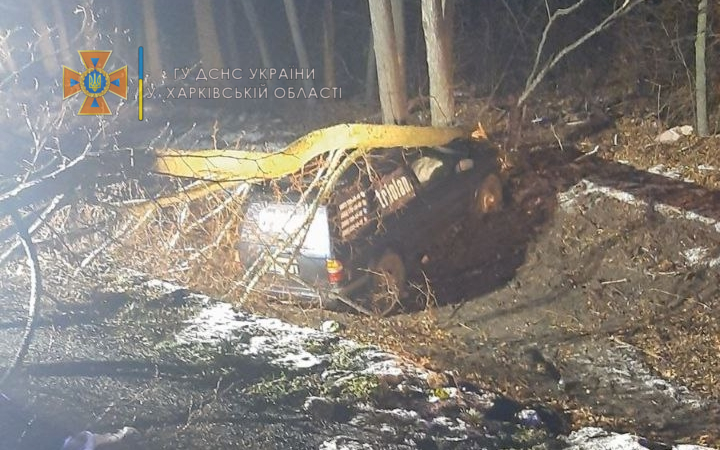 Под Харьковом на Nissan упало дерево, есть пострадавшие (фото)