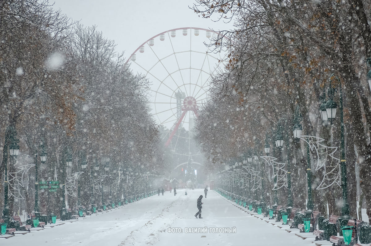 Канун Нового года в Харькове будет снежным — синоптики