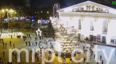 В Мариуполе упала главная городская елка (видео)