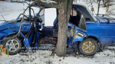 Под Харьковом ВАЗ влетел в дерево и превратился в груду металлолома (фото)