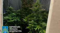 В Харькове муж с женой устроили в квартире нарколабораторию (фото)