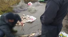 Харьковчанин сообщил в полицию о браконьерах (фото)