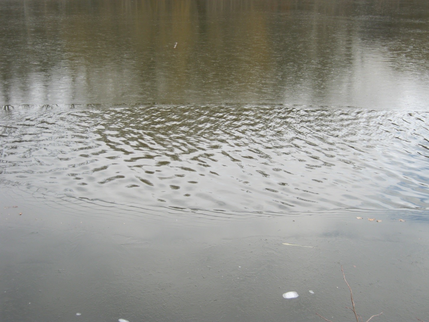 Ледяная корка на воде