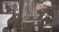 На Харьковщине на пожаре пострадал домовладелец (фото)