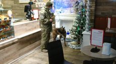 Какие школы и ТРЦ «заминировали» в Харькове 7 декабря