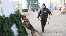 Новогодние праздники в Харькове будут охранять более 2,5 тысячи правоохранителей