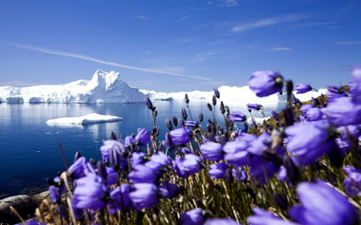 В Арктике установлен температурный рекорд — ООН