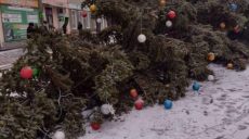 На Сумщине и Житомирщине упали новогодние ели — повреждены провода ЛЭП и гирлянды (фото)