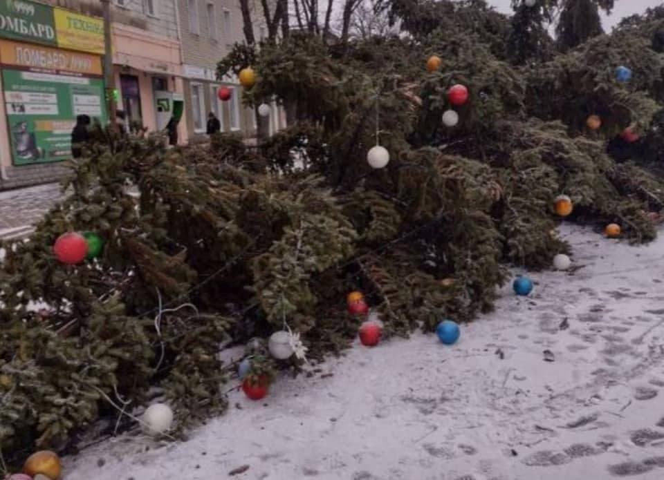 На Сумщине и Житомирщине упали новогодние ели — повреждены провода ЛЭП и гирлянды (фото)