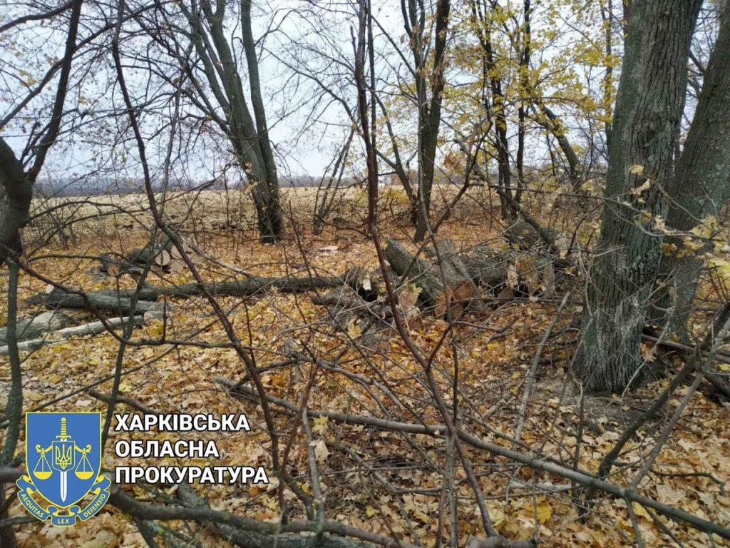 В Харьковской области будут судить «черного лесоруба» (фото)