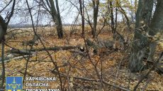 В Харьковской области будут судить «черного лесоруба» (фото)