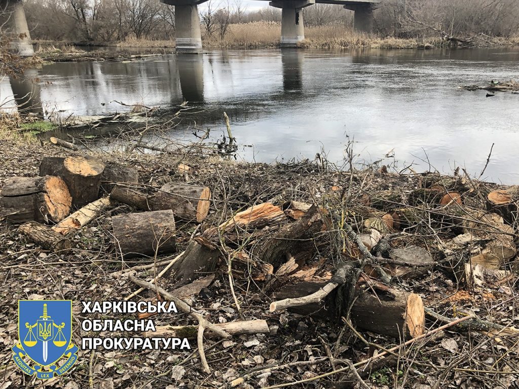 Жителя Харьковщины будут судить за незаконно срубленные деревья в Национальном природном парке (фото)