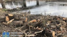 Жителя Харьковщины будут судить за незаконно срубленные деревья в Национальном природном парке (фото)