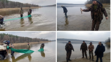 На Харьковщине зарыбили Оскольское водохранилище