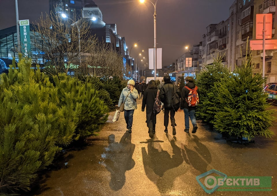 В Харькове начали открываться елочные базары: что почем (фоторепортаж)