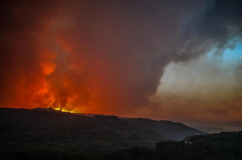 В Австралии из-за мощных лесных пожаров эвакуируют людей (фото)