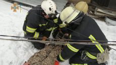 Харьковчанин выпал из окна пятого этажа на крышу пристройки-магазина (видео, фото)