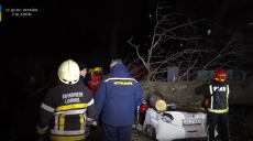В Киеве погиб водитель автомобиля, на который из-за бури упало дерево (видео)