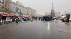 С центральной площади Харькова убрали лошадей и пони