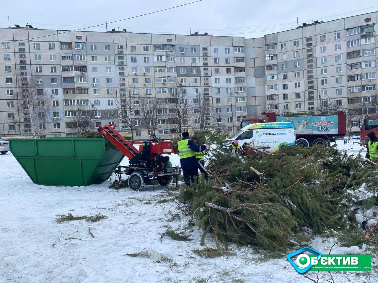 На Салтовке новогодние елки свозят на пустырь для дробления и утилизации 