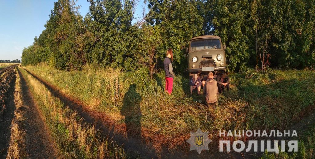 Вырубили деревья на полмиллиона: в Харькове будут судить «черных» лесорубов (фото)