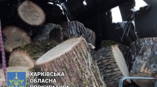 Житель Харьковщины обманом побудил своих работников незаконно спилить деревья (фото)