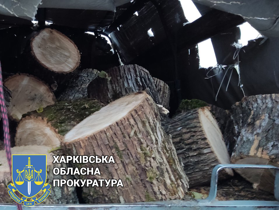 Житель Харьковщины обманом побудил своих работников незаконно спилить деревья (фото)