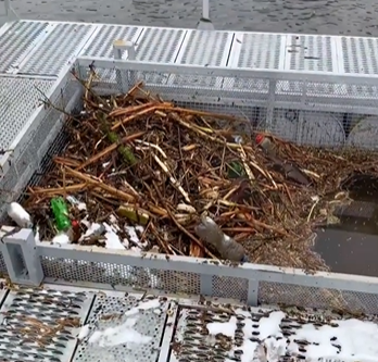 За два месяца работы мусорный уловитель на реке Уды собрал 600 кг пластика и других отходов
