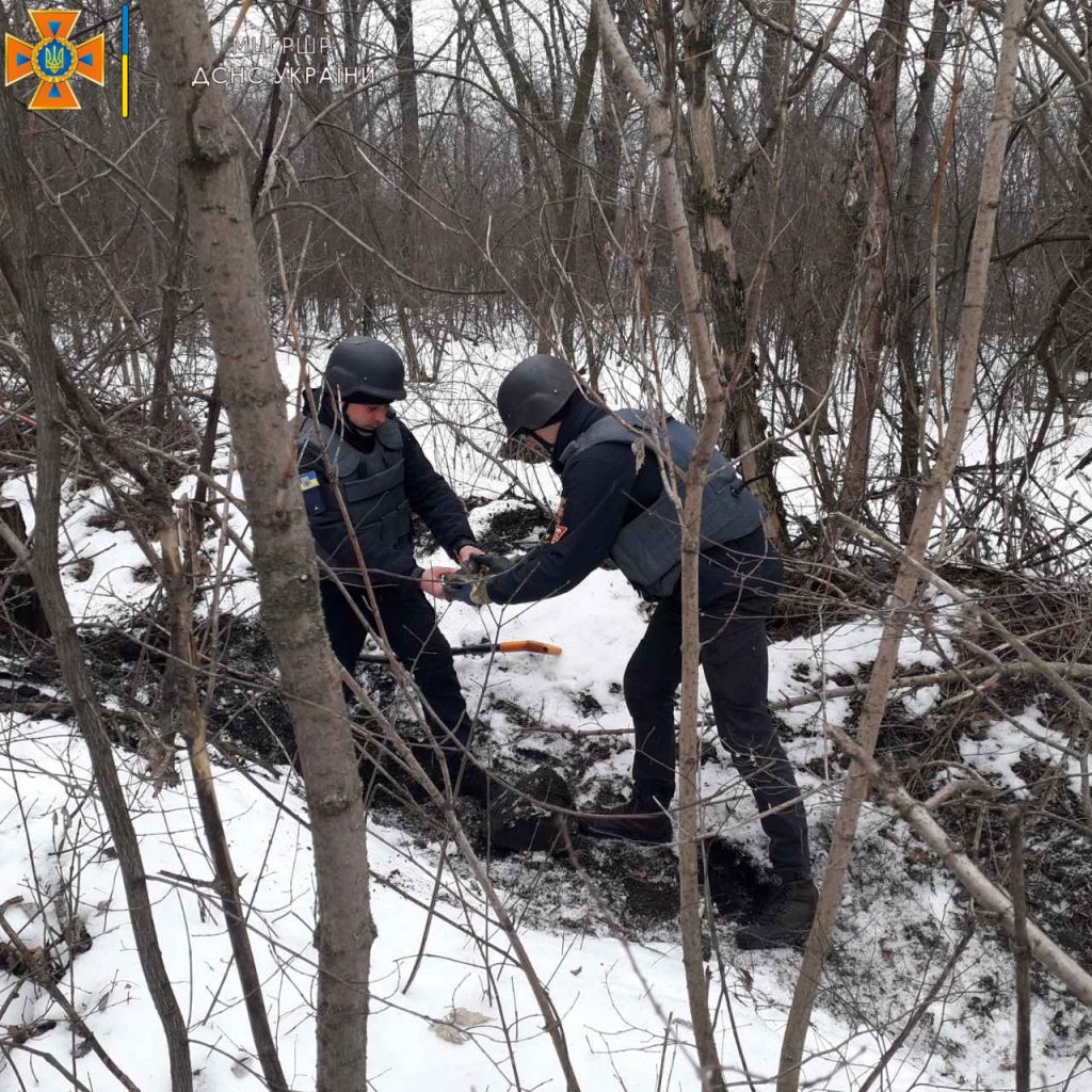 Саперы обезвредили более 30 снарядов, найденных в лесопосадке на Харьковщине (фото)