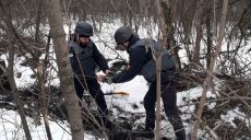 Саперы обезвредили более 30 снарядов, найденных в лесопосадке на Харьковщине (фото)