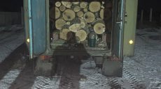 В Харьковской области устанавливают «черных лесорубов», спиливших дубы и ясени (фото)