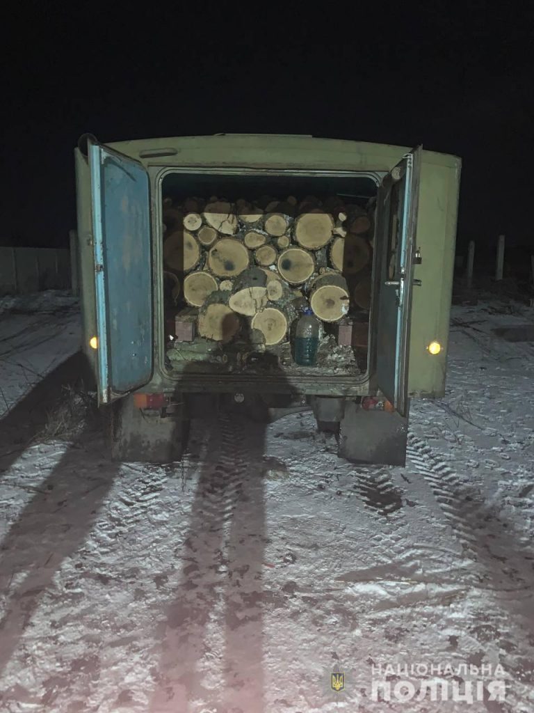 В Харьковской области устанавливают «черных лесорубов», спиливших дубы и ясени (фото)