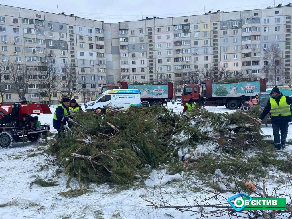 Как в Харькове коммунальщики очищают дворы от новогодних елок (фото)