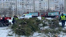 Как в Харькове коммунальщики очищают дворы от новогодних елок (фото)