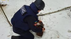 Возле села на Харьковщине нашли мину (фото)