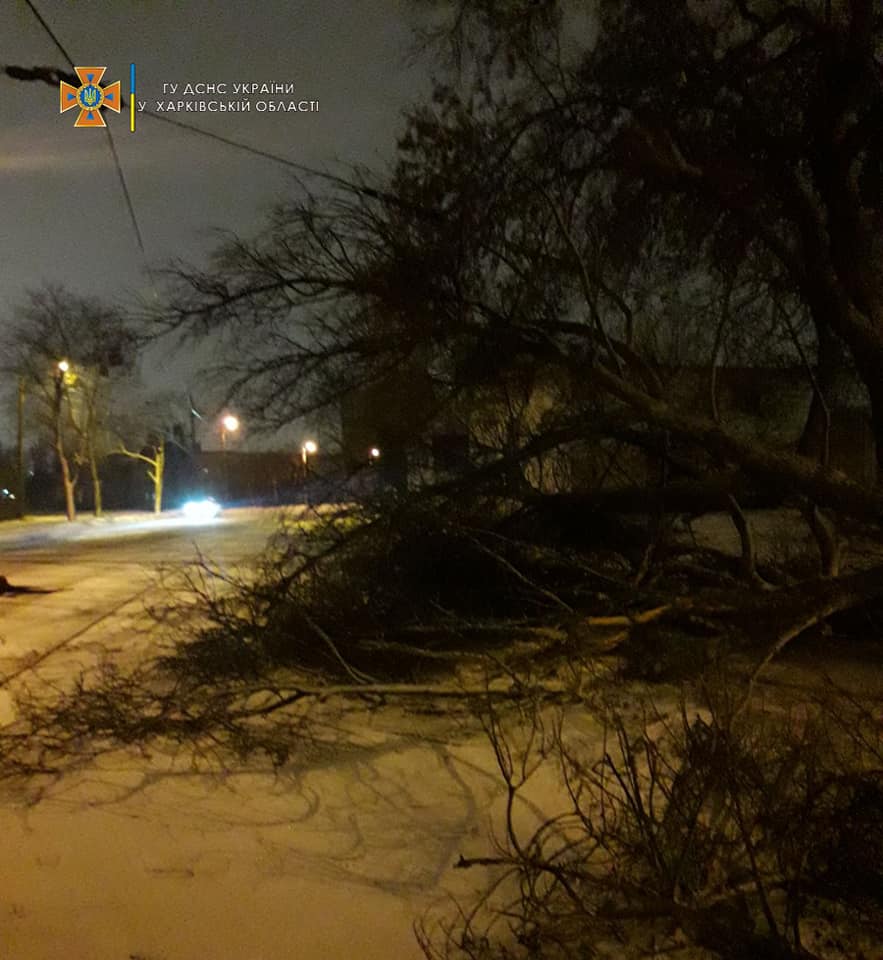 Поваленные деревья и разорванный флаг на флагштоке: последствия бури в Харькове (фото, видео)