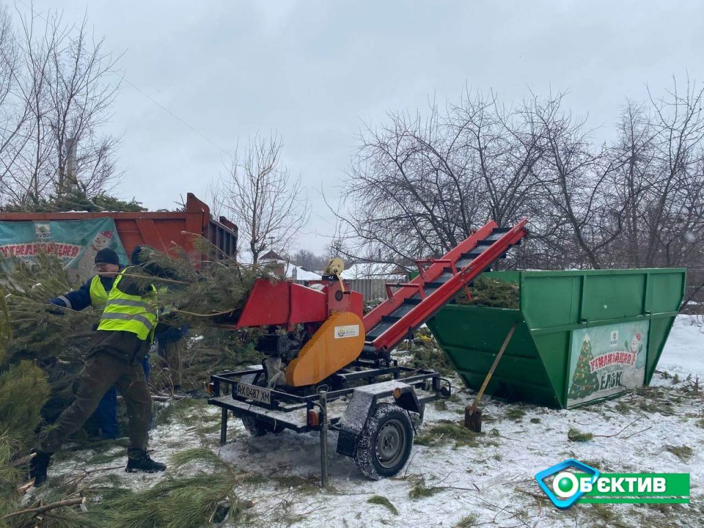 Харьковчане могут бесплатно получить опилки от новогодних елок для растопки и утепления (фото)